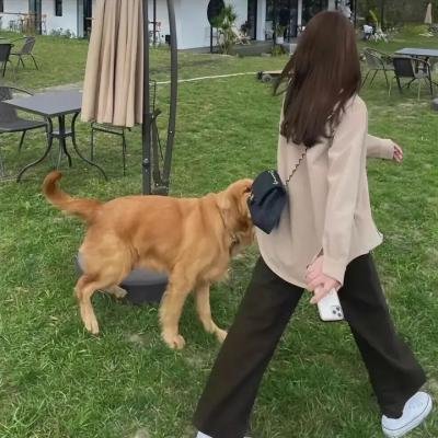 火线人生